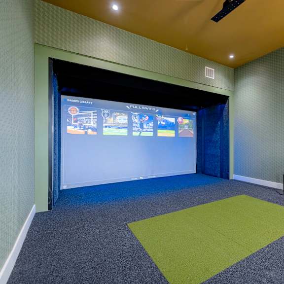 A room with a screen and a green rug.