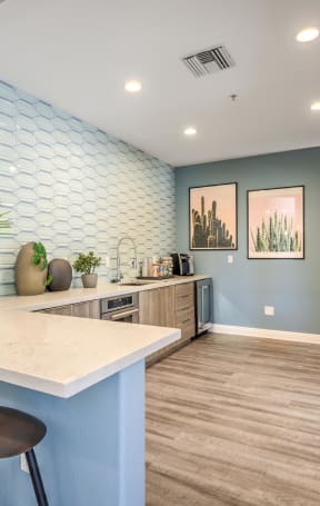 Amenity kitchen at Stone Canyon Apartments, California,92507