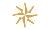 A gold compass rose with radiating lines and dots.