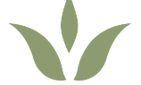A graphic of three green leaves.