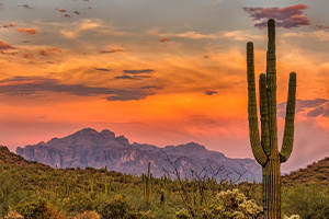 Arizona image