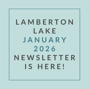 A newsletter for Lamberton Lake is available for January 2026.
