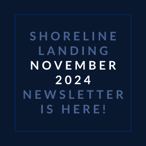 the white font on a blue background with the words shocking landing november 2024