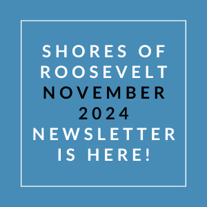 a white box with the words shoes november 2024 newsletter