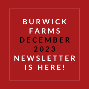 a red background with the words burwick farms december 23rd 2020 news here
