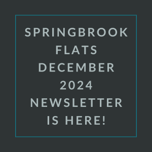 The image announces the availability of the Springbrook Flats December 2024 newsletter.