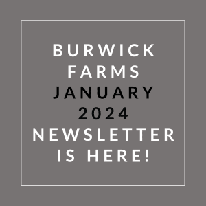 a white frame on a grey background with the words burwick farms january 2024