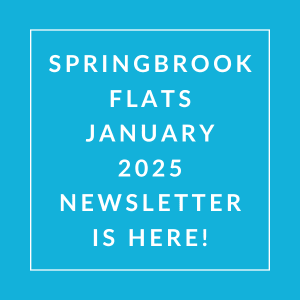 Springbrook Flats January 2025 newsletter.