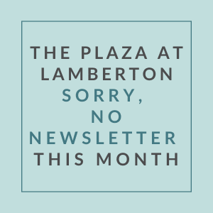 A message stating there will be no newsletter this month.