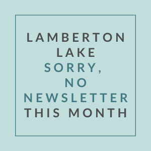 A message stating that there will be no newsletter this month.
