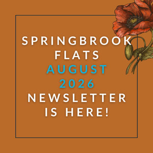 The image announces the availability of the Springbrook Flats November 2025 newsletter.