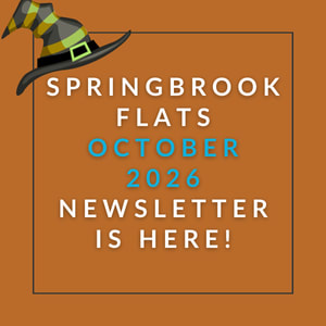 The image announces the availability of the Springbrook Flats November 2025 newsletter.