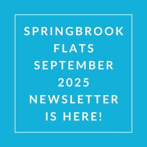 the white text on a black background says flats november 2024 newsletter