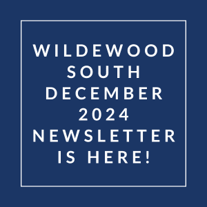 A blue square with white text announcing the Wildewood South December 2024 newsletter.