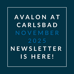 A newsletter announcement for Avalon at Carlsbad in November 2025.