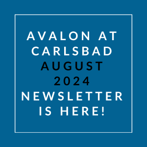 a white box with the words avalon august 2024 newsletter