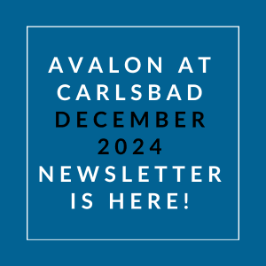 a white box with the words avalon at carlsbad december 2024 newsletter