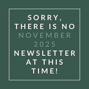 The image displays a message apologizing for the absence of a November 2025 newsletter.