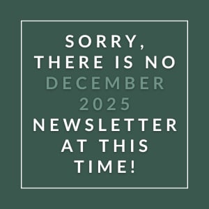 The image displays a message apologizing for the absence of a December 2025 newsletter.
