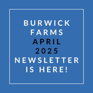 A blue square with white text announcing the Burwick Farms April 2025 newsletter.