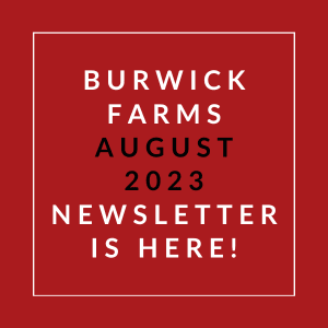 a red background with a white box and the words burwick farms august 23 newsletter is