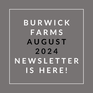 a gray background with the words burwick farms august 2024 newsletter is here
