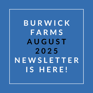 A blue square with white text announcing the Burwick Farms August 2025 newsletter.
