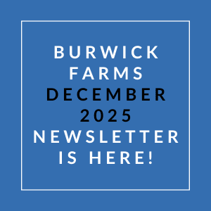 A blue square with white text announcing the Burwick Farms December 2025 newsletter.
