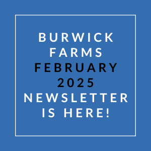 A blue square with white text announcing the Burwick Farms February 2025 newsletter.