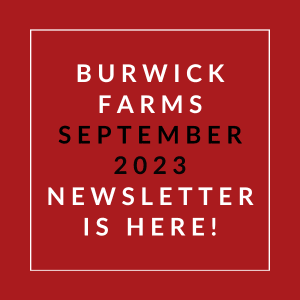 a sign that says burwick farms september 23 23 newspaper is here