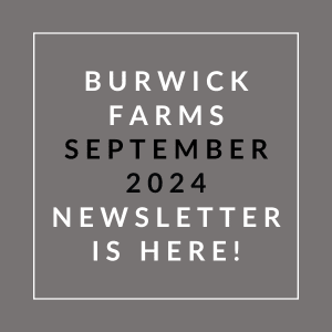 a gray background with white text and the words burwick farms september 2024
