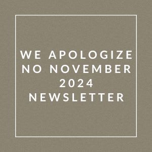 A message apologizing for the absence of a November 2024 newsletter.