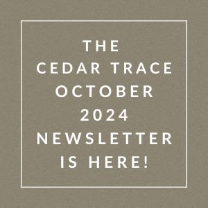 the trace october 2024 newsletter is here brown background with white text