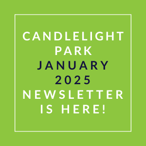 A green square with white text announcing the Candlelight Park January 2025 newsletter.