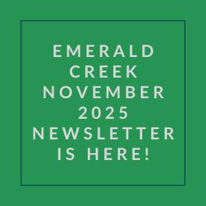 The image announces the availability of the Emerald Creek November 2025 newsletter.