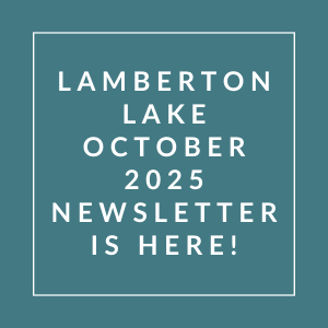 The image announces the availability of the Lamberton Lake October 2025 newsletter.