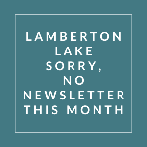 A message stating that there will be no newsletter this month.