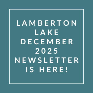 The image announces the availability of the Lamberton Lake December 2025 newsletter.