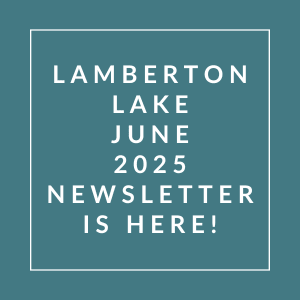 The image announces the Lamberton Lake June 2025 newsletter.