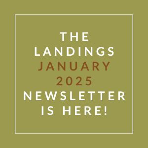 The image announces the availability of the Landings January 2025 newsletter.