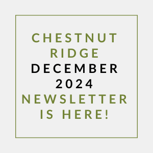 A green and white image announcing the Chestnut Ridge December 2024 newsletter.