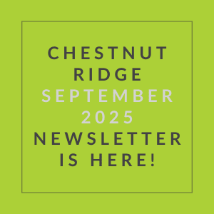A green square with text announcing the Chestnut Ridge September 2025 newsletter.