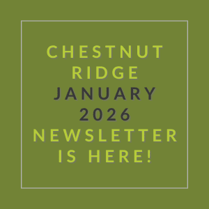 The image is a cover of the Chestnut Ridge January 2026 newsletter.