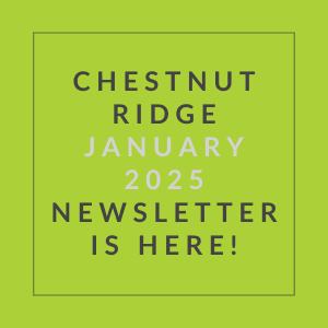 The image is a cover of the Chestnut Ridge January 2025 newsletter.