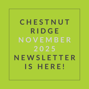 A green square with text announcing the Chestnut Ridge November 2025 newsletter.