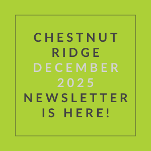 The image is promoting the Chestnut Ridge December 2025 newsletter.