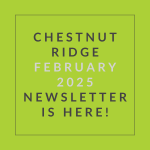 The image is a cover of the Chestnut Ridge January 2025 newsletter.