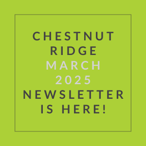The image announces the availability of the Chestnut Ridge March 2025 newsletter.