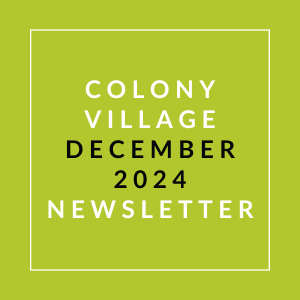 A green newsletter cover for Colony Village dated December 2024.
