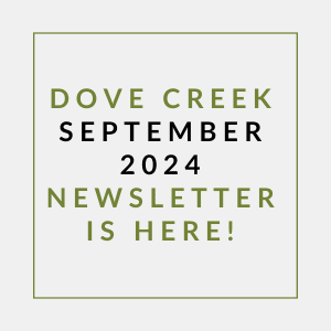 a yellow border with green text saying dove creek september 2024 newsletter is here